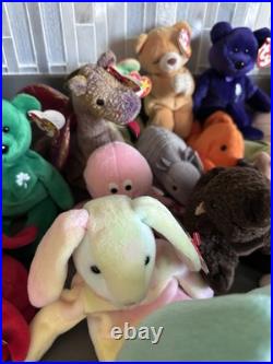 TY Beanie Babies LOT Many Rare Older Errors