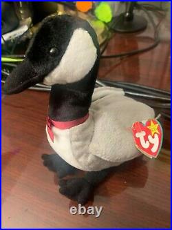 TY Beanie Babies Loosy NEW Rare Retired with Errors