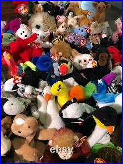 TY Beanie Babies Lot of 187 RARE WITH TAGS