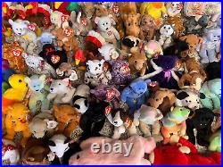 TY Beanie Babies Lot of 98 All Tagged Retired Rare Authentic Some Errors