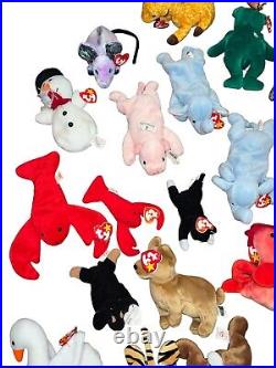 TY Beanie Babies Many Rare/Retired/With Tag Errors Huge Collector Lot 105 pc