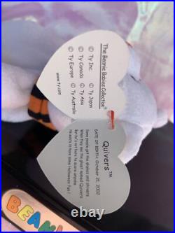 TY Beanie Babies Quivers Stuffed Plush Ghost Bear RARE 2002-2003 Tag Error