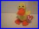 TY-Beanie-Babies-Rare-Retired-Quackers-Style-4024-1994-1993-MINT-CONDITION-01-qpj