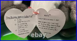 TY Beanie Baby ANTS Retired Rare With Tags Errors 1997-1998 P. E Pellets Stamp