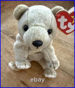 TY Beanie Baby Almond The Bear ERRORS Rare 1999 Retired Original / Authentic