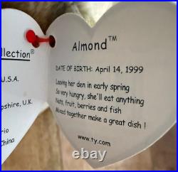 TY Beanie Baby Almond The Bear ERRORS Rare 1999 Retired Original / Authentic