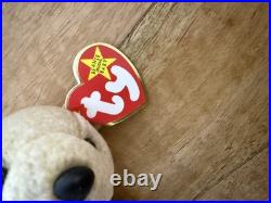 TY Beanie Baby Almond The Bear ERRORS Rare 1999 Retired Original / Authentic