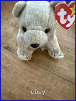 TY Beanie Baby Almond The Bear ERRORS Rare 1999 Retired Original / Authentic
