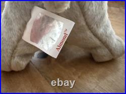 TY Beanie Baby Almond The Bear ERRORS Rare 1999 Retired Original / Authentic