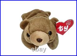 TY Beanie Baby BROWNIE the Bear BBOC Exclusive Rare MWMTs Stuffed Plush