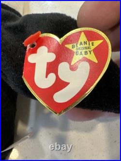 TY Beanie Baby Baldy Eagle 1996 PVC Pellets RARE Multiple Tag Errors? Same Day