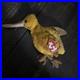 TY-Beanie-Baby-Beak-1998-Retired-RARE-TAG-ERRORS-EXCELLENT-CONDITION-01-ez