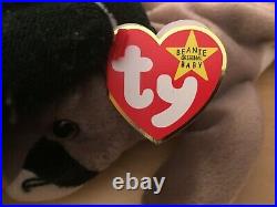 TY Beanie Baby CANYON THE COUGAR Rare/Retired Vintage Birthday May 29 1998 JKT11
