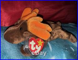 TY Beanie Baby Chocolate the Moose 1993 RARE WithERRORS