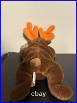 TY Beanie Baby Chocolate the Moose 1993 RARE WithERRORS