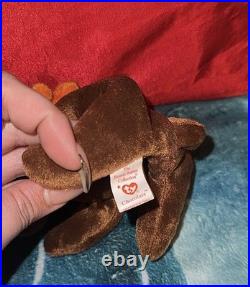 TY Beanie Baby Chocolate the Moose 1993 RARE WithERRORS