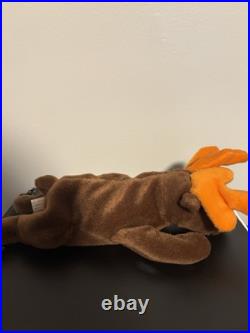 TY Beanie Baby Chocolate the Moose 1993 RARE WithERRORS