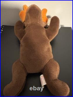 TY Beanie Baby Chocolate the Moose 1993 RARE WithERRORS