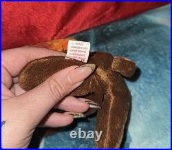 TY Beanie Baby Chocolate the Moose 1993 RARE WithERRORS