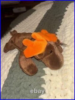 TY Beanie Baby Chocolate the Moose 1993 Retired Multiple Errors Rare