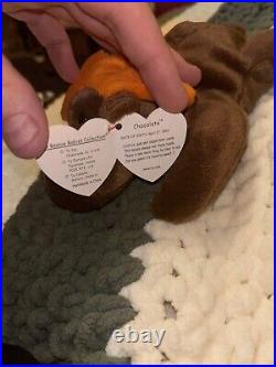 TY Beanie Baby Chocolate the Moose 1993 Retired Multiple Errors Rare