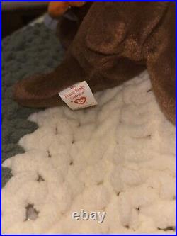 TY Beanie Baby Chocolate the Moose 1993 Retired Multiple Errors Rare