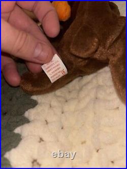 TY Beanie Baby Chocolate the Moose 1993 Retired Multiple Errors Rare