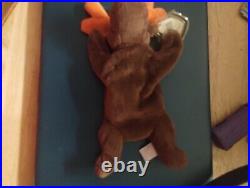 TY Beanie Baby Chocolate the Moose 2nd/1st Generation! RARE