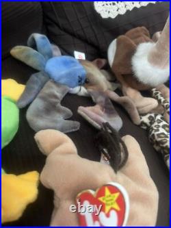 TY Beanie Baby Collection 101 Count Lot Rare Errors PVC