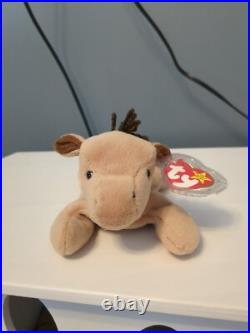 TY Beanie Baby DERBY the Horse MWMT very rare