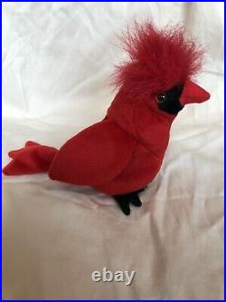 TY Beanie Baby Extremely Rare Mac the Cardinal Red withTag Errors Collectible
