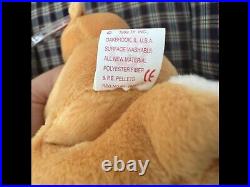 TY Beanie Baby HOPE the Praying Bear. RARE with tag errors