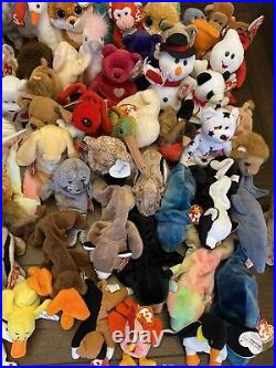 TY Beanie Baby HUGE Lot 95! With Many Mint Collectors RARE Errors