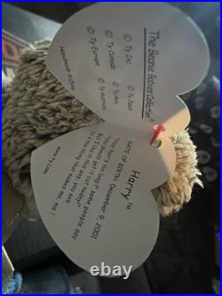 TY Beanie Baby Harry the Bear with rare tag error mint condition