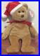 TY-Beanie-Baby-Holiday-1996-Teddy-Bear-with-Plastic-Tag-Holder-RARE-with-Errors-01-ks