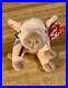TY-Beanie-Baby-KNUCKLES-the-Pig-NEW-Mint-Condition-1999-Ret-RARE-Tag-Errors-01-chij