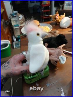 TY Beanie Baby Kuku the Cockatoo with ERRORS RARE RETIRED Bird 1997 1998