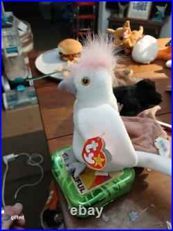 TY Beanie Baby Kuku the Cockatoo with ERRORS RARE RETIRED Bird 1997 1998