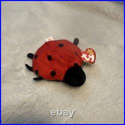 TY Beanie Baby Lucky The Ladybug FLAWLESS. RARE with Spots Plush Toy 1995 TY Beanie Baby Lucky The Ladybug FLAWLESS. RARE with Spots Plush Toy 1995