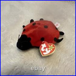 TY Beanie Baby Lucky The Ladybug FLAWLESS. RARE with Spots Plush Toy 1995 TY Beanie Baby Lucky The Ladybug FLAWLESS. RARE with Spots Plush Toy 1995