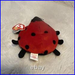 TY Beanie Baby Lucky The Ladybug FLAWLESS. RARE with Spots Plush Toy 1995 TY Beanie Baby Lucky The Ladybug FLAWLESS. RARE with Spots Plush Toy 1995