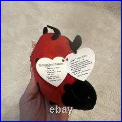 TY Beanie Baby Lucky The Ladybug FLAWLESS. RARE with Spots Plush Toy 1995 TY Beanie Baby Lucky The Ladybug FLAWLESS. RARE with Spots Plush Toy 1995