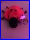 TY-Beanie-Baby-Lucky-The-Ladybug-Tag-Error-RARE-with-Spots-Plush-Toy-1993-1995-01-brp