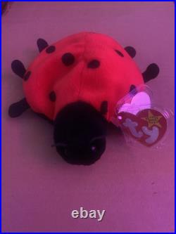 TY Beanie Baby Lucky The Ladybug Tag Error RARE with Spots Plush Toy 1993/1995