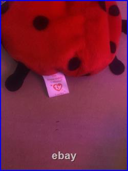 TY Beanie Baby Lucky The Ladybug Tag Error RARE with Spots Plush Toy 1993/1995