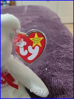 TY Beanie Baby MAPLE the Bear w RARE PRIDE Tush Tag 4th Gen Hang Tag Mint