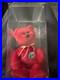 TY-Beanie-Baby-OSITO-The-Mexican-Bear-Rare-Vintage-Charity-01-pcq