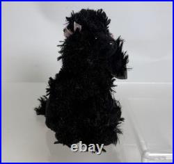 TY Beanie Baby SHAMPOODLE the Poodle Dog (7 inch) VERY RARE! MWMTs