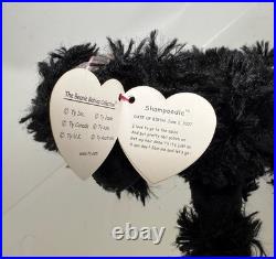 TY Beanie Baby SHAMPOODLE the Poodle Dog (7 inch) VERY RARE! MWMTs