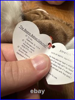 TY Beanie Baby STRETCH The Ostrich (6.5 In) Rare with Errors Mint Condition